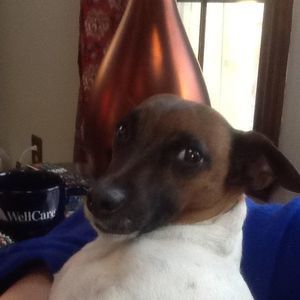 Meet your Posher, Debbie